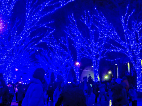 多くの来街者でにぎわう「青の洞窟SHIBUYA」