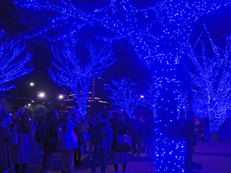 来街者でにぎわう代々木公園ケヤキ並木