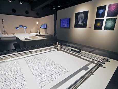 IAMAS卒業生や教授6人の作品を展示する場内