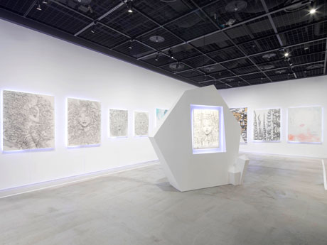 新作の大型作品13点を中心に展示する場内。Photo: Naoki Takimoto