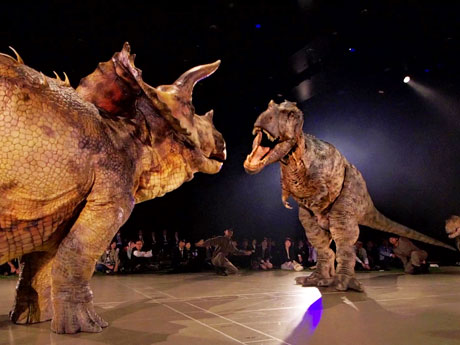 一触即発な雰囲気の（手前から）トリケラトプスとティラノサウルス