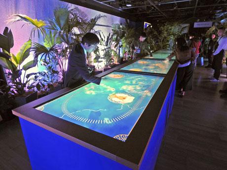 触れて「ボンベイ・サファイア」に使われている植物を探すデジタルアート