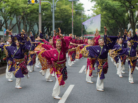 昨年開催時の様子（写真は昨年高知市長賞を受賞した「舞華」）
