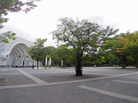 会場となる代々木公園イベント広場