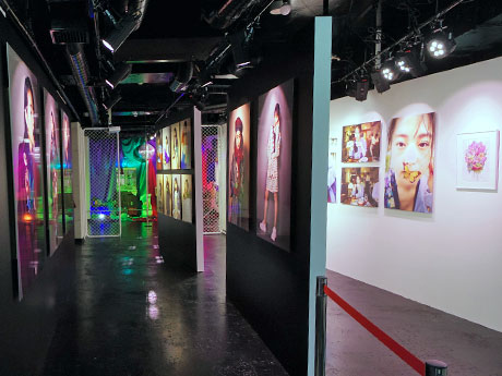 多角的に伊藤万理華さんの「脳内」に迫る展覧会場内