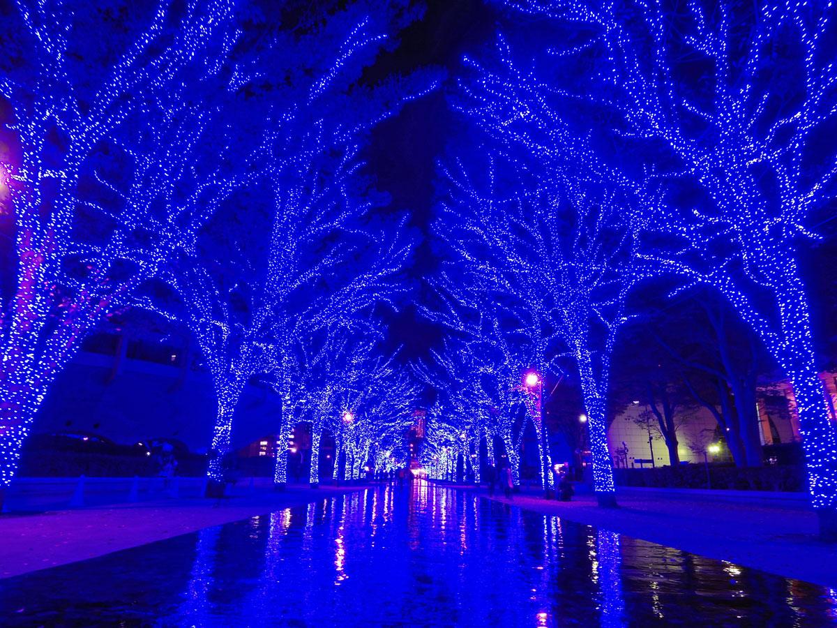 「ミラーマット」を敷き光を反射させることで洞窟のような演出をする代々木公園ケヤキ並木