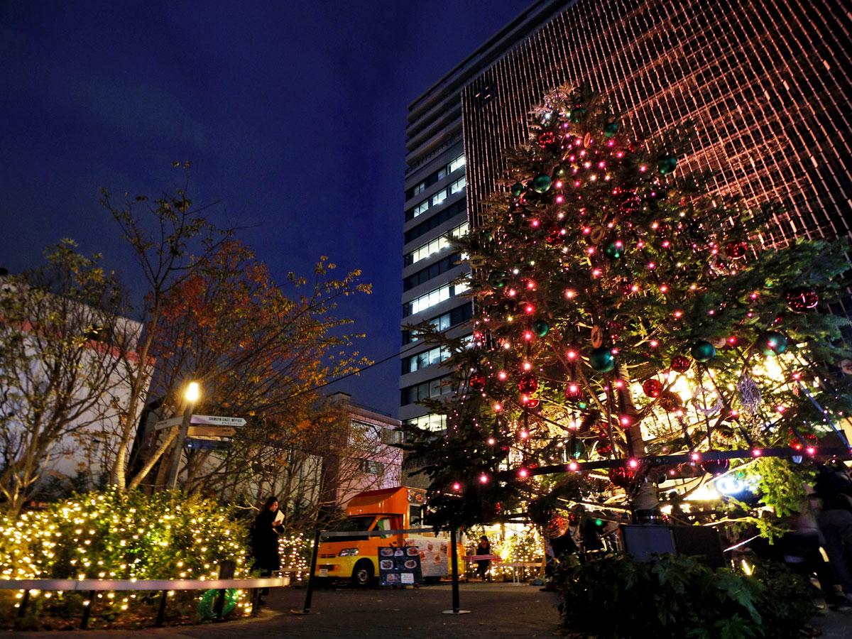 広場の植木や高さ7メートルのツリーなどにLED電球を装飾している