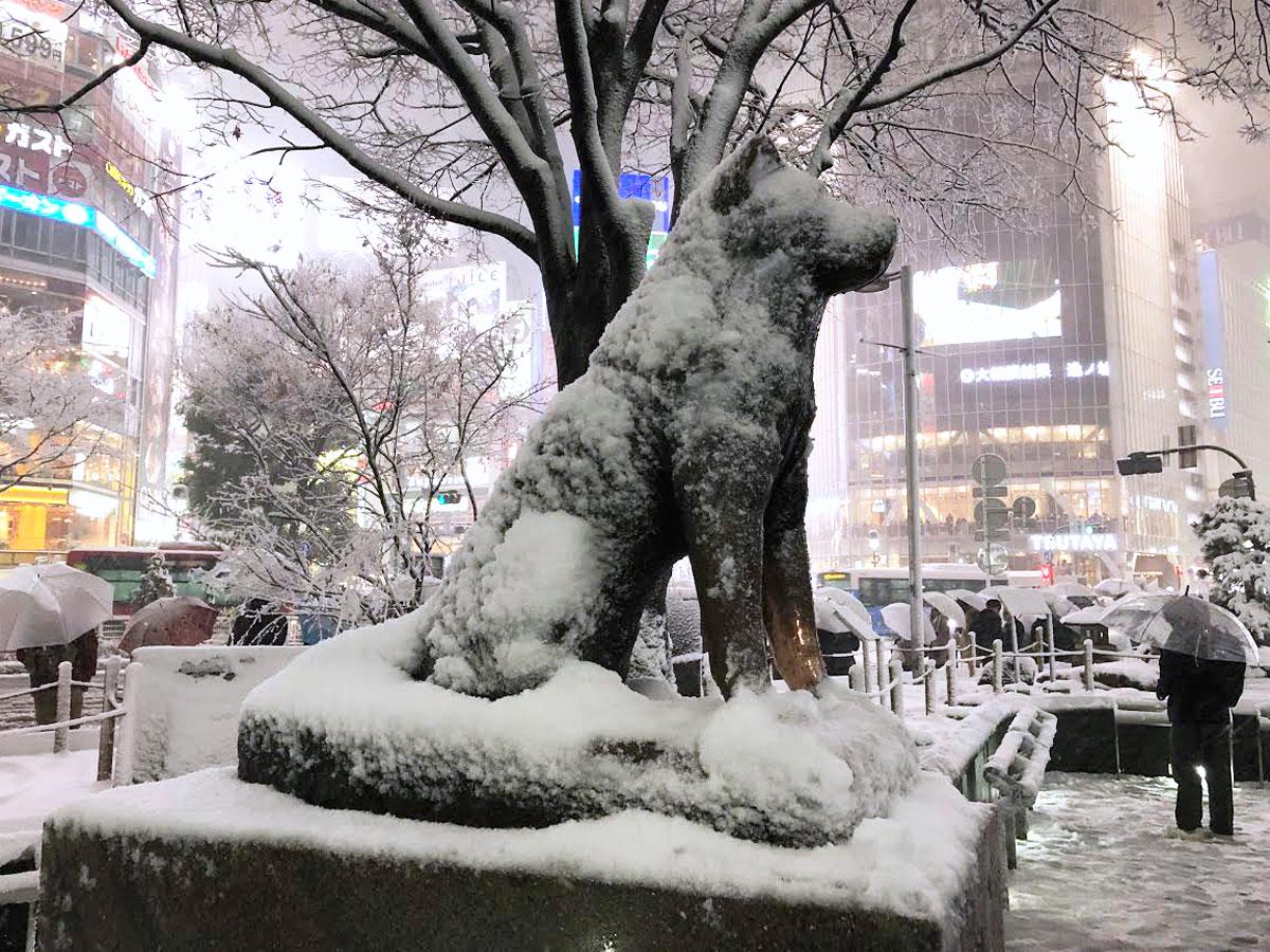 雪化粧した渋谷駅前のハチ公像