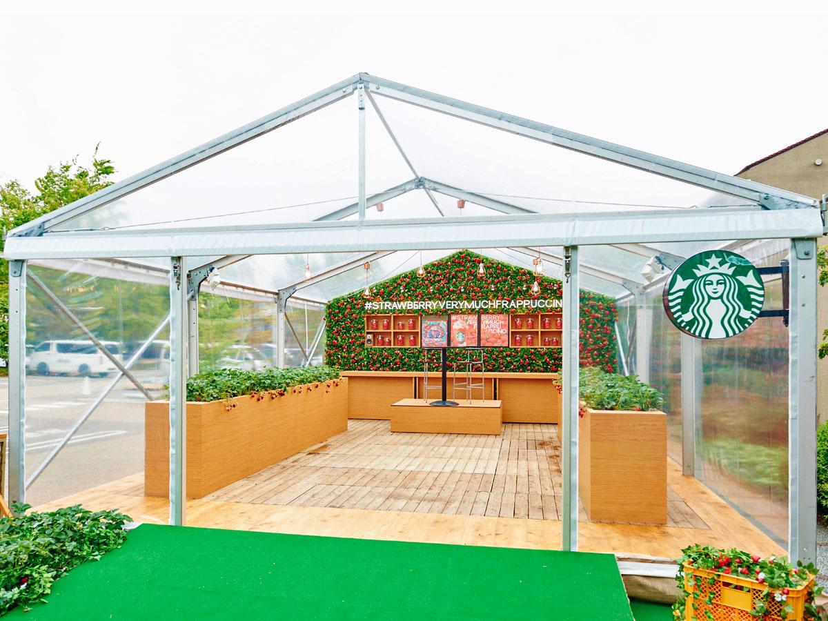 初となるビニールハウスのスターバックス