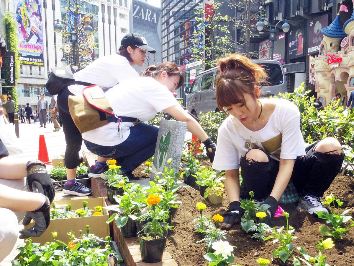 公園通りで花を植える作業をした高橋みなみさん（右）