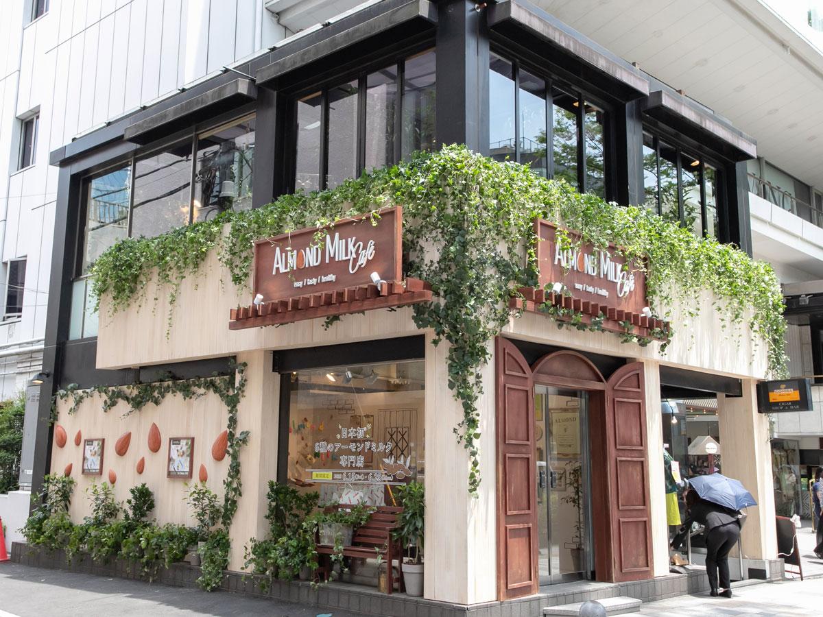 木や草を基調に仕上げた外観