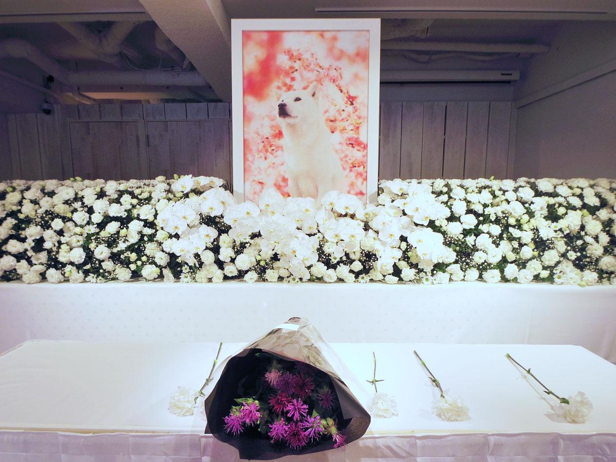 祭壇を用意し献花できるようにした