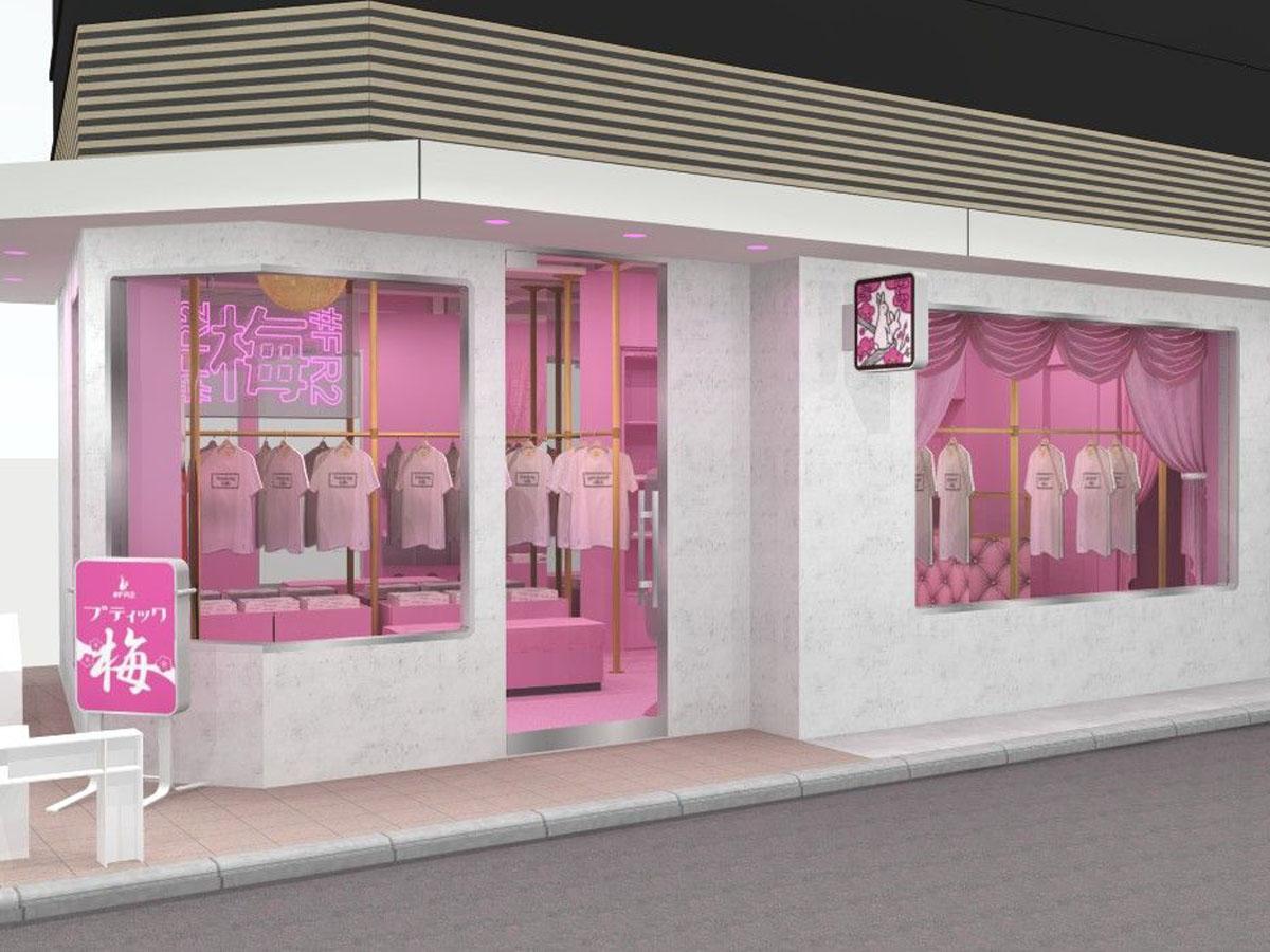ピンク色を基調にした店舗（画像＝外観イメージ）で成人玩具などを扱う