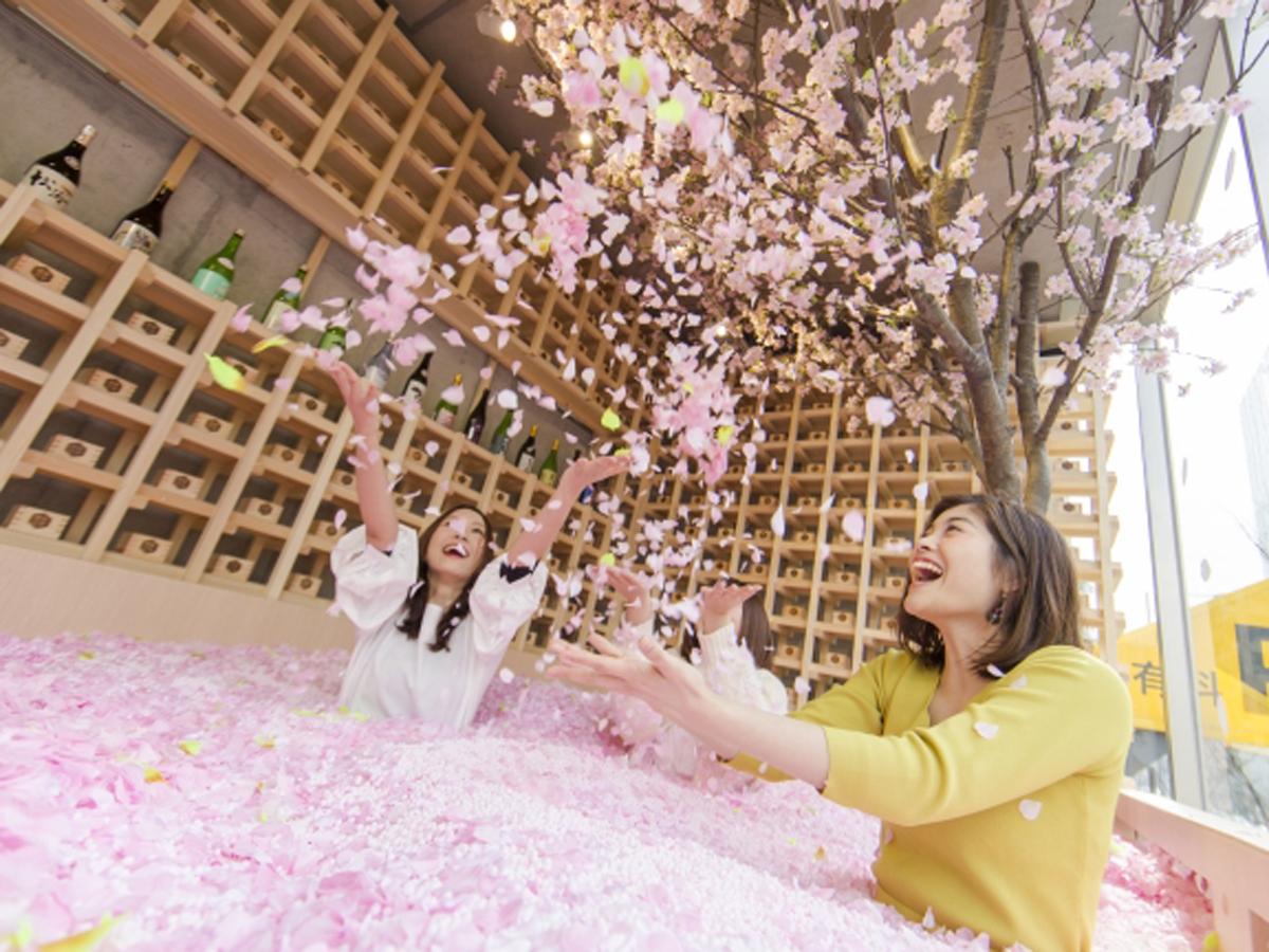 花びら120万枚を使った「桜プール」が目玉に