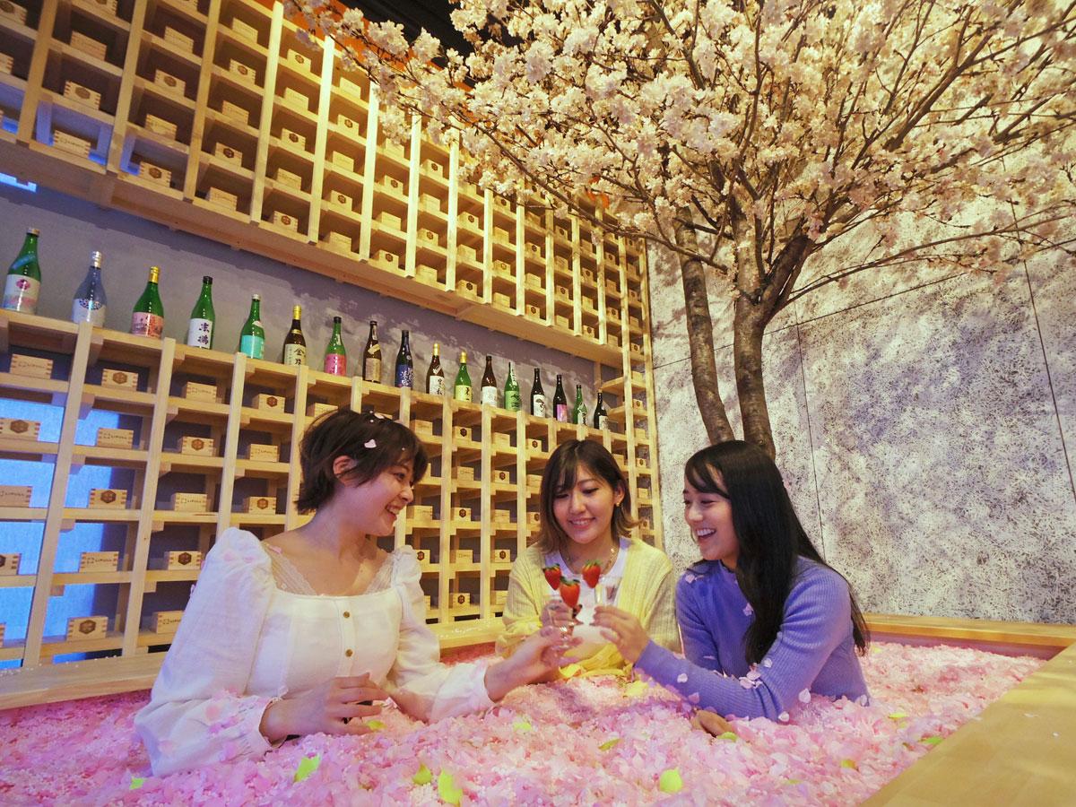 造花の花びら120万枚の「桜のプール」の中で佐賀の新酒を楽しめる