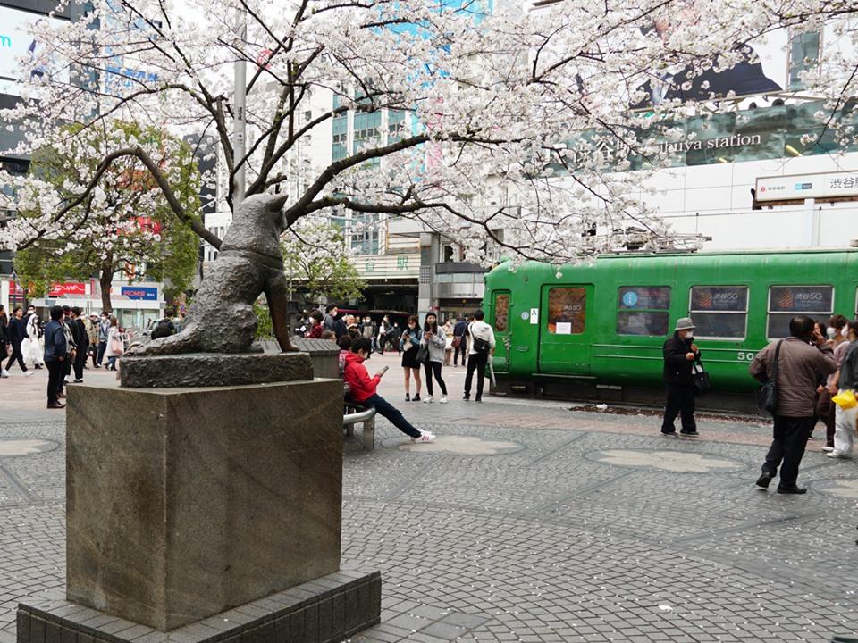 人通りもまばらなハチ公前広場の様子