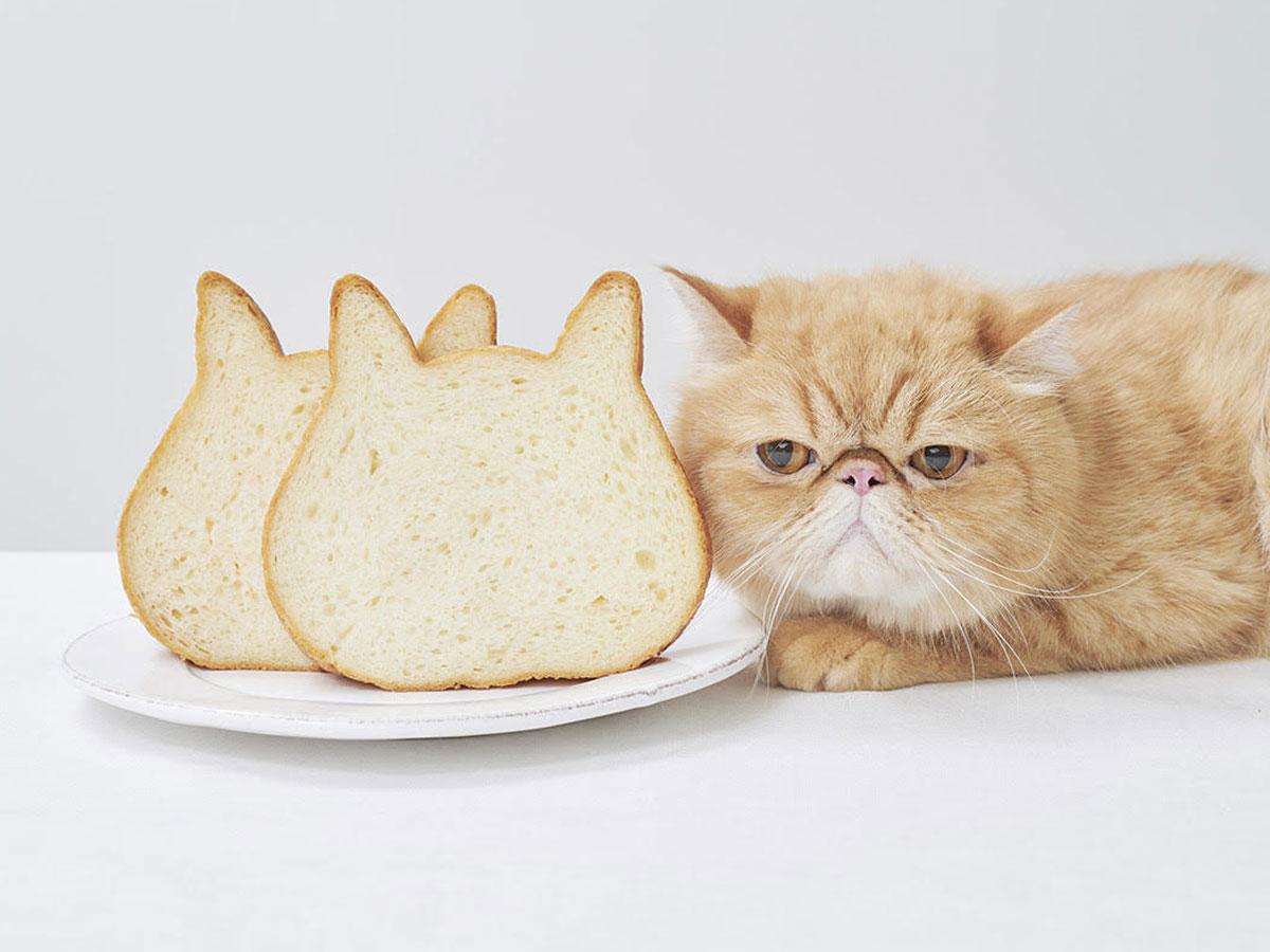 猫の顔をかたどった食パンを販売する