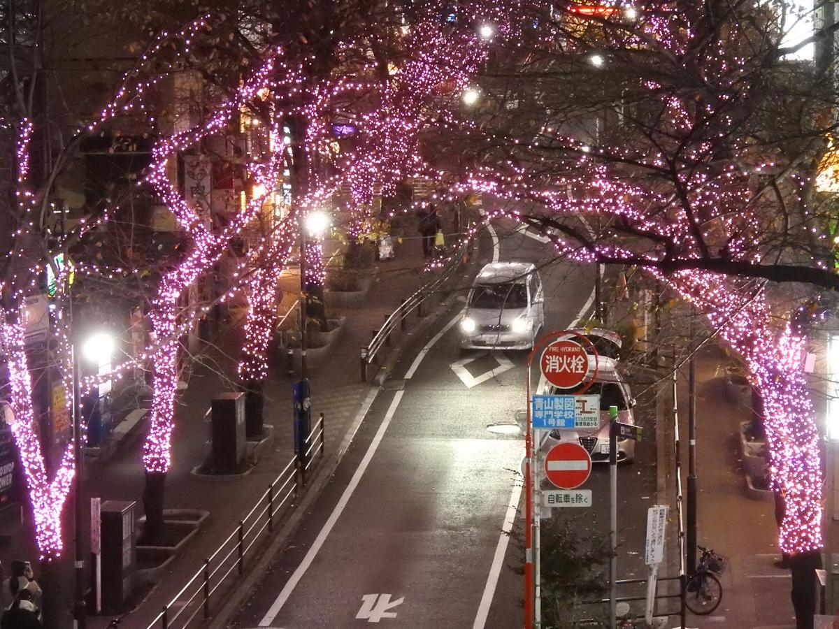 桜並木をピンクのイルミネーションで彩る桜丘町のさくら坂