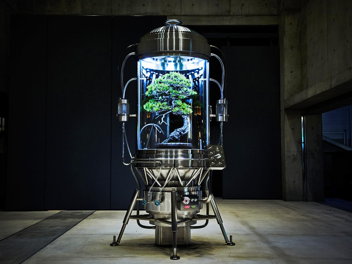 場内に展示する「パルダリウム保俊」（PHOTO BY SHIINOKI SHUNSUKE）