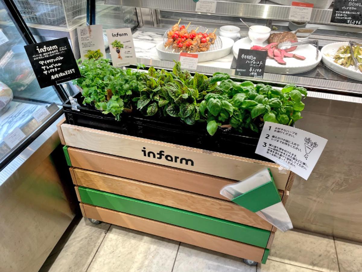 「ディーン＆デルーカ広尾」店内で販売が始まった「インファーム」の野菜類