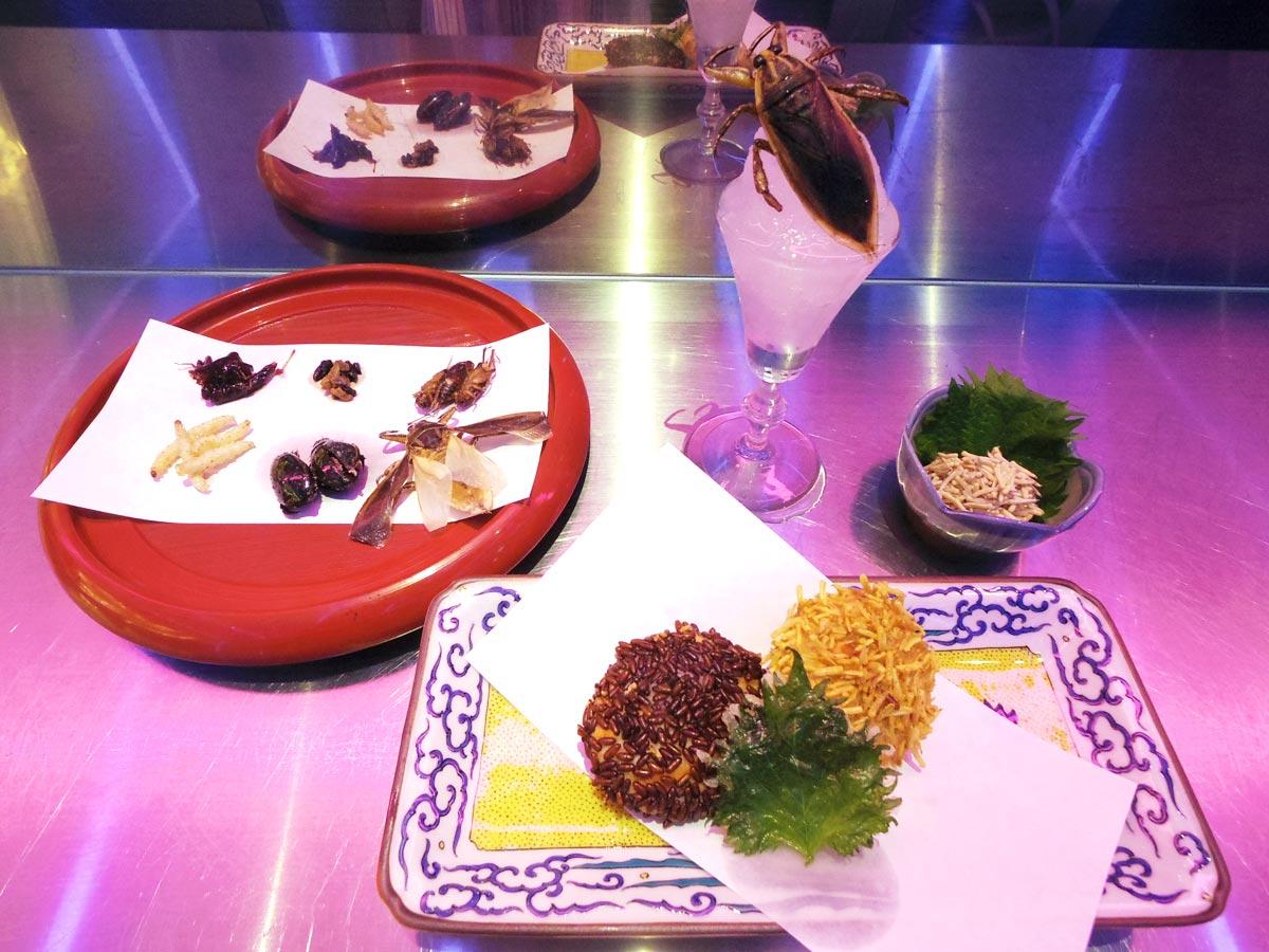 イエバエの幼虫（マゴット）の「変わり揚げ」（写真手前）などのメニューをラインアップする