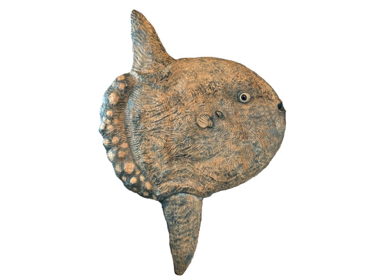 初展示予定のマンボウ