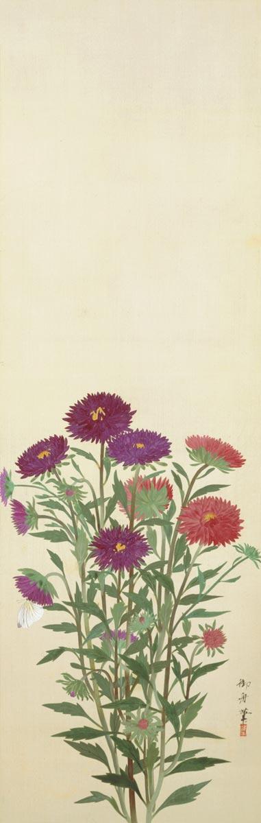 修復後初めて公開する速水御舟の「和蘭陀菊図」