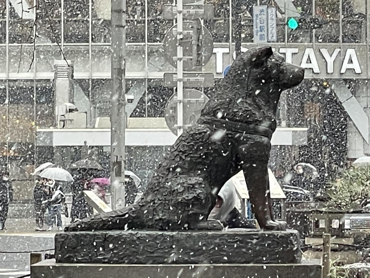 雪が降りしきる渋谷駅前の様子