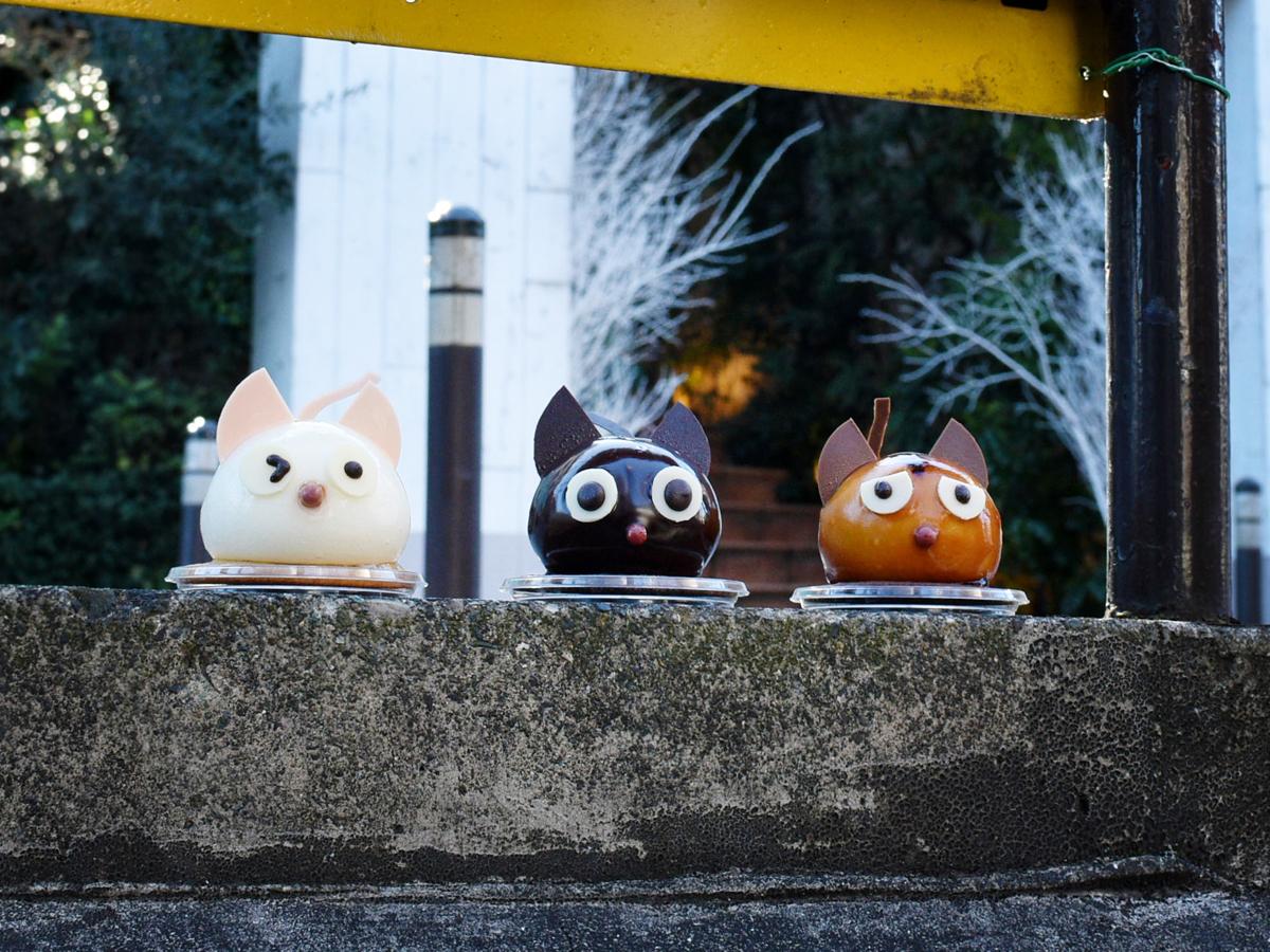 左から「白猫のモモ」「黒猫のルナ」「茶トラ猫のチャチャ」