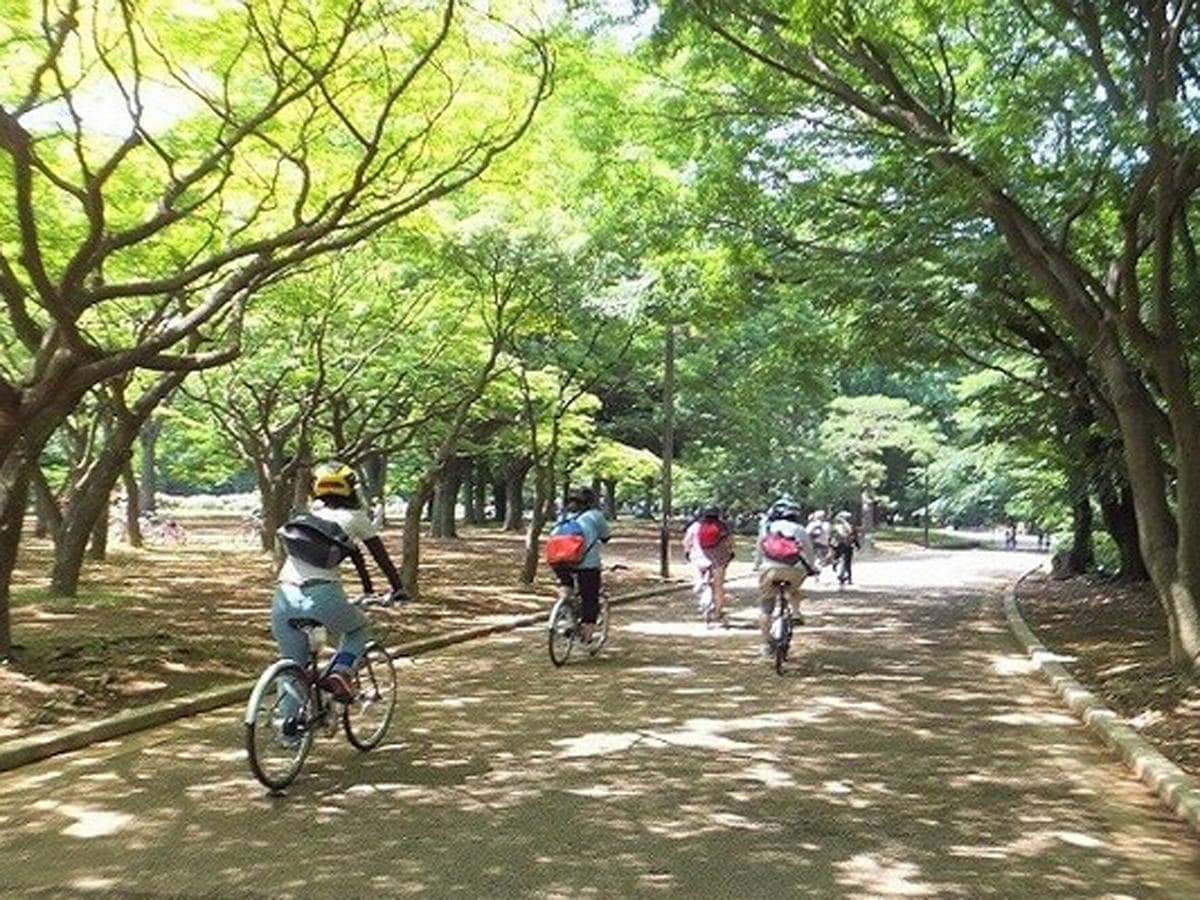 代々木公園内を「散走」するイメージ