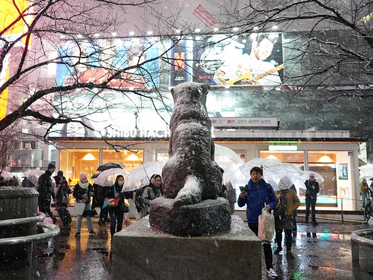 雪の中、ハチ公前広場で撮影をする観光客。「ハチ」に傘を差し出す姿も