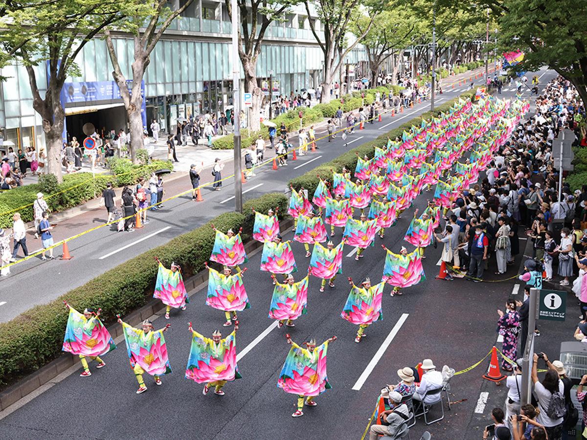 交通規制した表参道などで踊る。写真は昨年「原宿表参道賞」を受賞した「とらっくよさこい（ちふれ） 」（高知県）の演舞