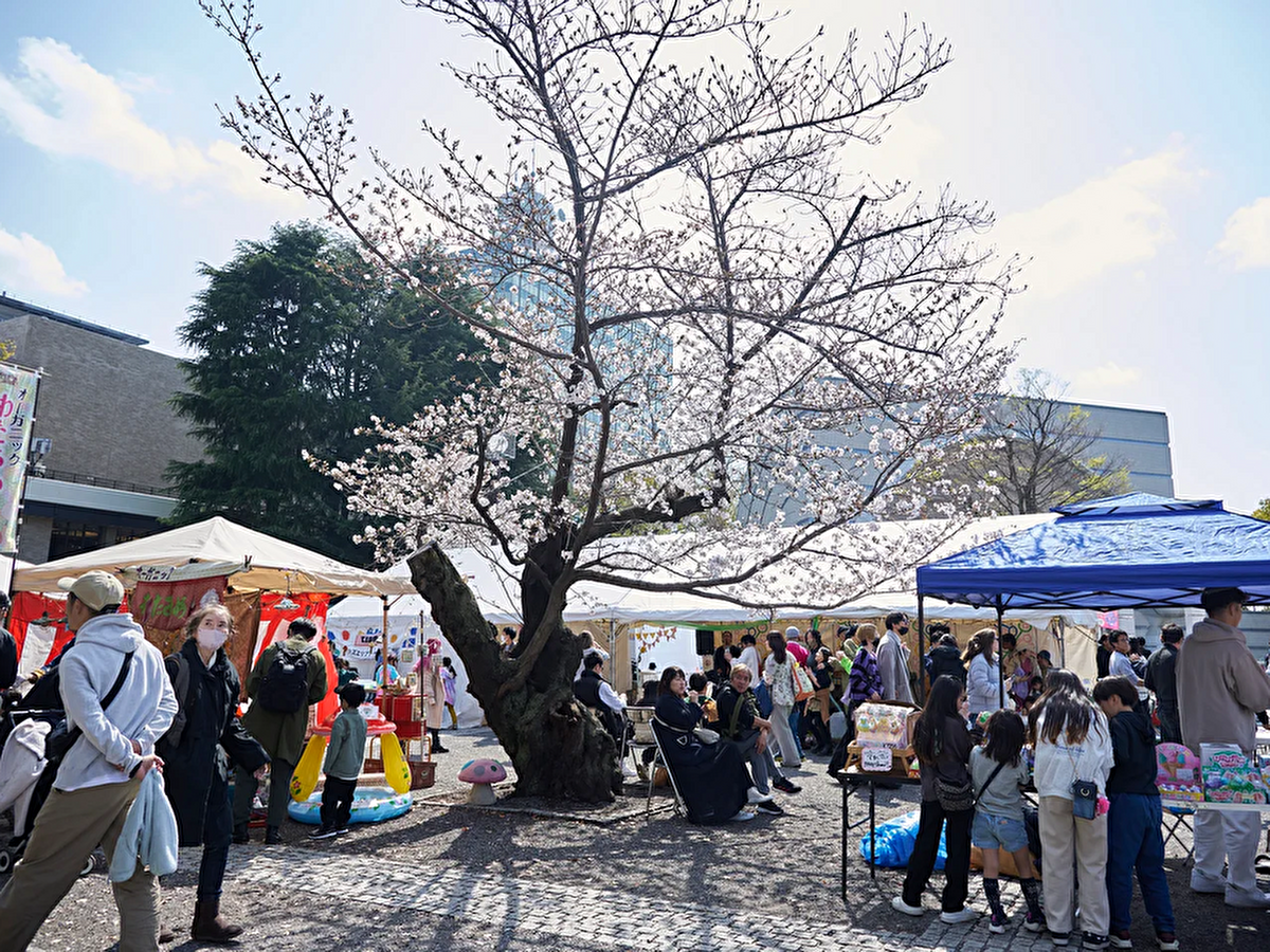 昨年開催時の会場の様子