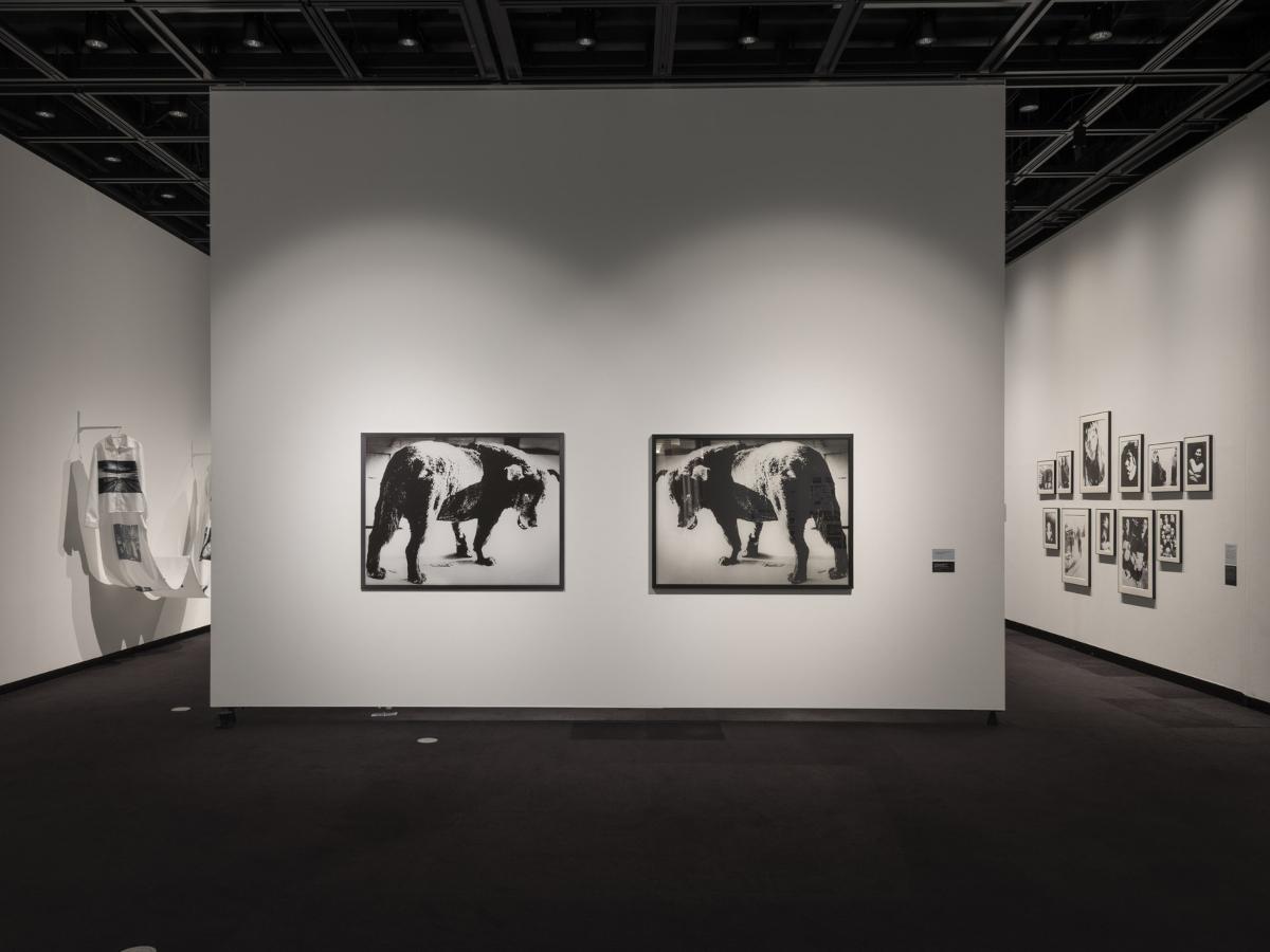 東京都写真美術館「TOKYOスマート・カルチャー・プロジェクト 奈良女子大学 長谷研究室「複製される感性－森山大道」」の展覧会風景
Photo by Takayuki Narita
Courtesy of Arts Council Tokyo