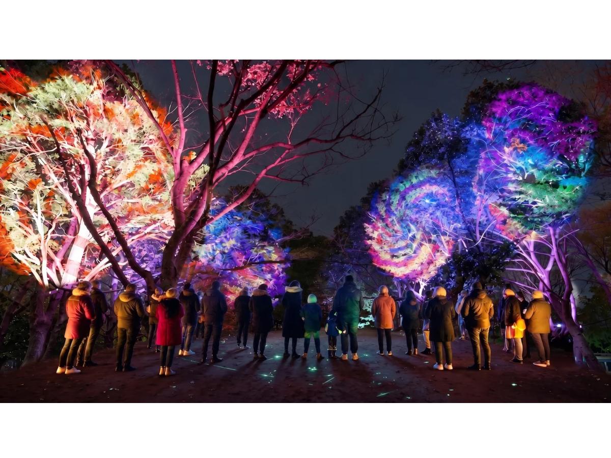 「花のワルツ」の音楽とともに花の光を演出する「フローラル・ファンタジア」のイメージ