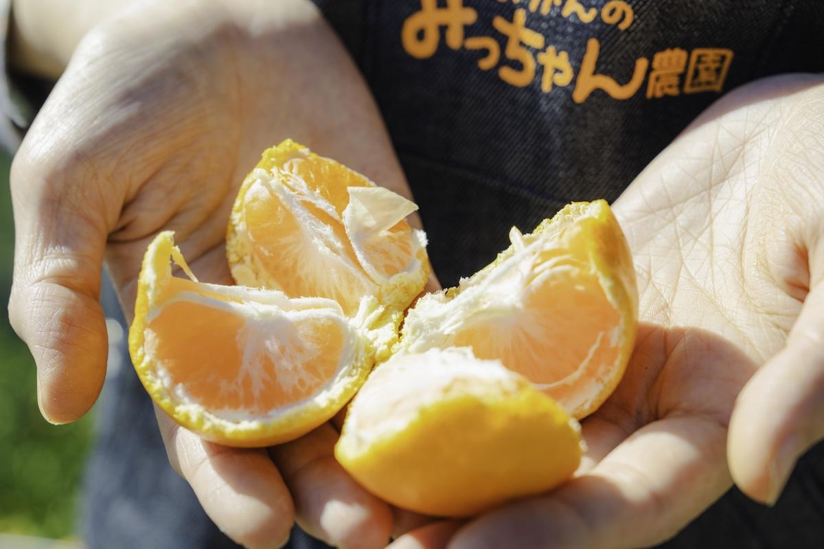 マーケットではフルーツを販売する