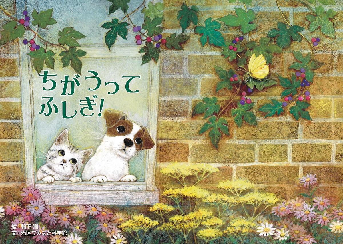 絵本「ちがうってふしぎ！」（写真提供＝港区立みなと科学館）