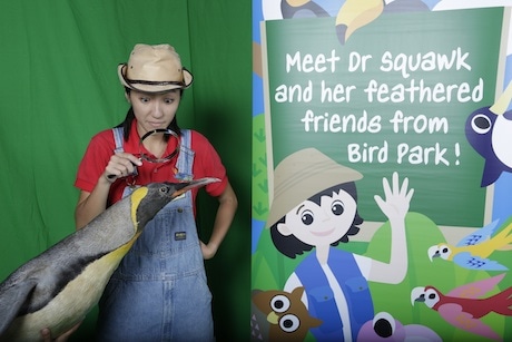 「Bird Park Flies to Schools」の人気ホストであるDr Squawkと一緒に各大陸の飛べない鳥について教える企画も