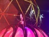 「シンガポール・ナイトフェスティバル2017」 終了