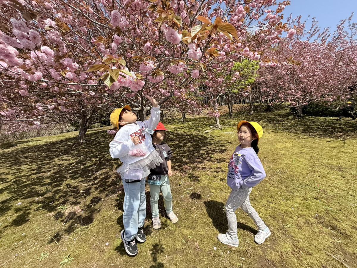 大多喜町西小学校の児童ら。少し高い桜にジャンプ（写真提供＝Yellow）