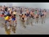 外房・一宮海水浴場でハマグリ祭り ハマグリ拾いや「つまみどり」、網焼きコンロ設置