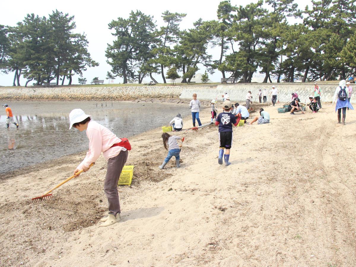 浜を掃除する参加者