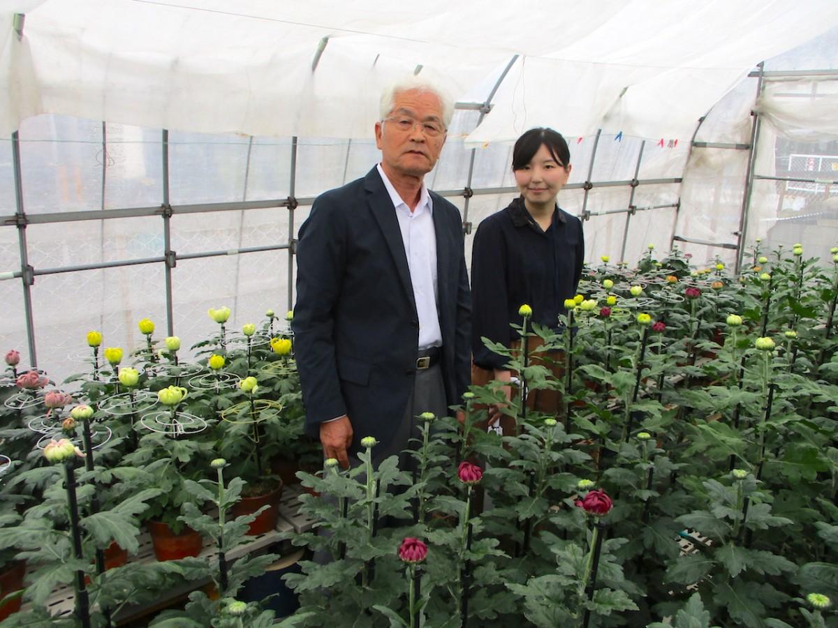 菊を育てるビニールハウス内で催しをPRする濱野さん(左)と大塚さん(右)