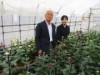 高砂の市ノ池公園で「菊花展覧会」 小菊・大菊・ぼんさい菊など約200鉢