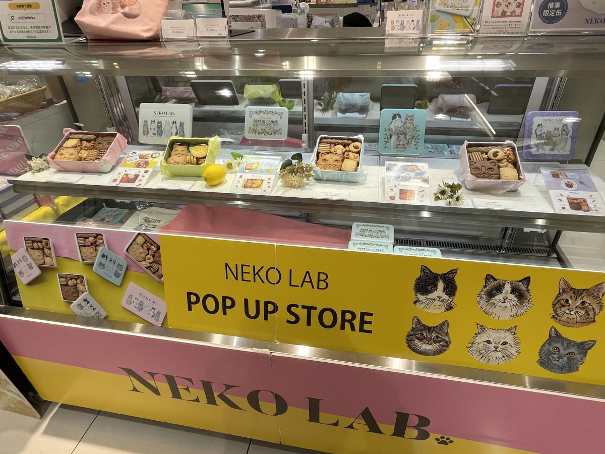 大丸福岡天神店に期間限定で出店している「NEKO LAB」のクッキー缶
