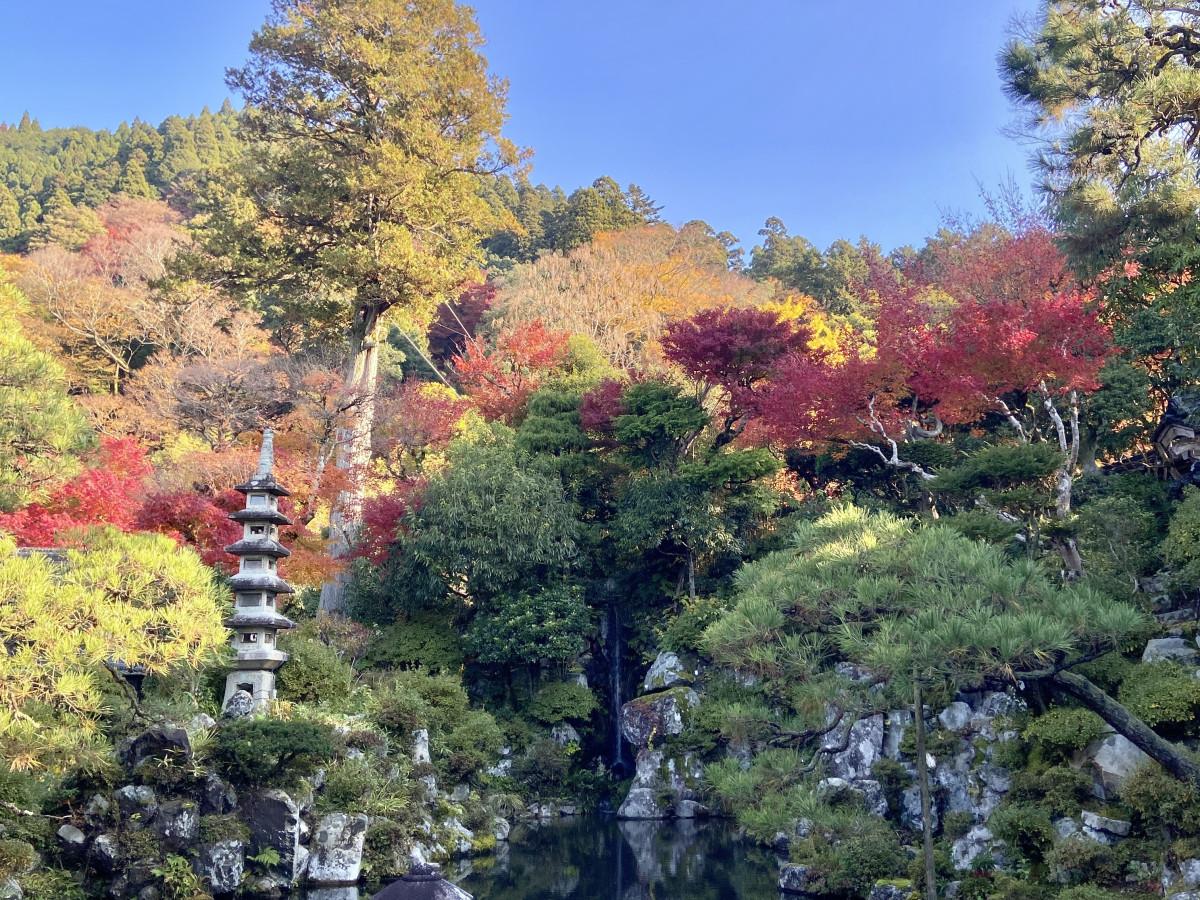 「石谷家住宅」敷地内にある庭園の紅葉の様子（写真提供＝因幡街道ふるさと振興財団）