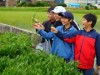 朝日町で紅茶作り体験 名産品のバタバタ茶の茶葉を使用