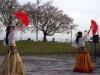 富山・舟橋村で「サクラ・ミーツ・ザ・ライブ」 ご当地コスプレダンスも