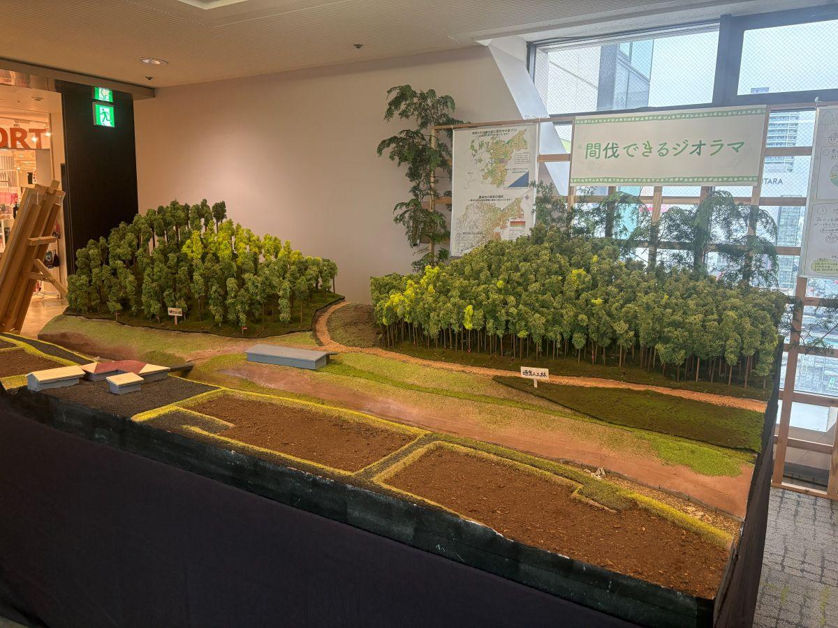 間伐作業を疑似体験できる体験型のジオラマ