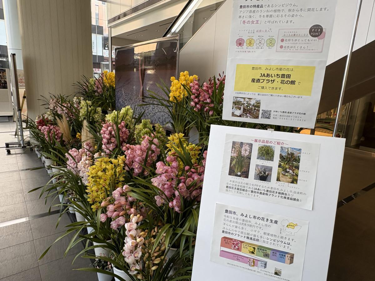 「ウインター・プリンセス・プロジェクト」の様子。